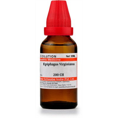 Willmar Schwabe India Epiphagus Virginiana 200 CH (30ml)